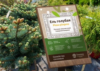 51 из 64ВЫСШАЯ ШКОЛА БРЕНДИНГА
 