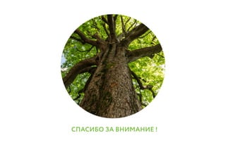 Битва 9.0 - Yolypaly