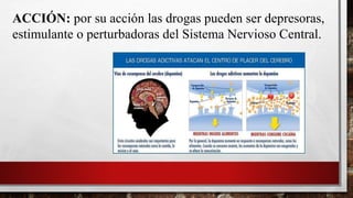 ACCIÓN: por su acción las drogas pueden ser depresoras,
estimulante o perturbadoras del Sistema Nervioso Central.
 