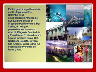 Está organizada políticamente
en 32 departamentos.
Colombia es la
única nación de América del
Sur que tiene costas en
el océano Pacífico y en el Mar
Caribe, en los que
posee diversas islas como
el archipiélago de San Andrés
y Providencia. Existen diversos
lugares turísticos como: Cali,
Cartagena ,Bogotá, Boyacá,
San Andrés , Santa Marta. Allí
encontraras diversidad de
fauna y flora.
 