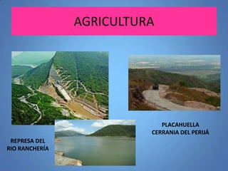 AGRICULTURA

PLACAHUELLA
CERRANIA DEL PERIJÁ

REPRESA DEL
RIO RANCHERÍA

 