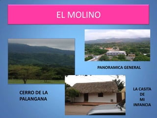 EL MOLINO

PANORAMICA GENERAL

CERRO DE LA
PALANGANA

LA CASITA
DE
MI
INFANCIA

 