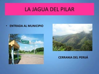 LA JAGUA DEL PILAR
• ENTRADA AL MUNICIPIO

CERRANIA DEL PERIJÁ

 