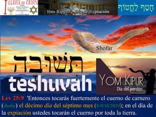 ‫ֳטֹוף‬‫ח‬ַ‫ל‬ ‫ף‬ַ‫ט‬ָ‫ח‬
Lev 25:9 'Entonces tocarás fuertemente el cuerno de carnero
(shofar) el décimo día del séptimo mes (8-9/10/2019); en el día de
la expiación ustedes tocarán el cuerno por toda la tierra.
Shofar
 