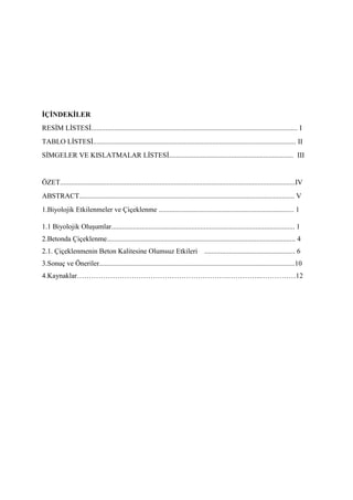 İÇİNDEKİLER
RESİM LİSTESİ....................................................................................................