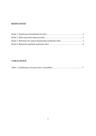RESİM LİSTESİ
Resim 1. Kanalizasyon borularında asit etkisi……………………………………………….. 2
Resim 2. Beton yüzeyinde oluşan yosunlar...
