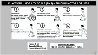 yonder pci traumatología y Ortopedia hospital Dr domingo luciani | PPT