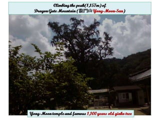 Dragon Gate Mountain Climbing(Yong-Moon-San) pps