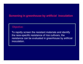 To rapidly screen the resistant materials and identify
Objective:
Screening in greenhouse by artificial inoculation
To rap...