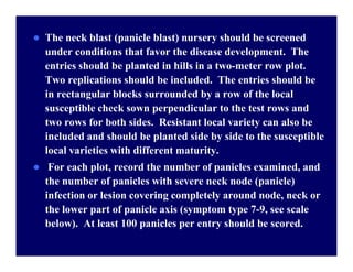 The neck blast (panicle blast) nursery should be screened
under conditions that favor the disease development. The
entries...