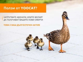 Yoocat