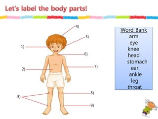 Word Bank
arm
eye
knee
head
stomach
ear
ankle
leg
throat
1)
4)
5)
6)
7)
3)
8)
9)
2)
