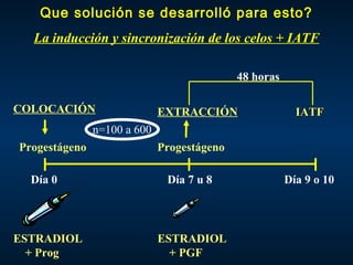 Que solución se desarrolló para esto?
La inducción y sincronización de los celos + IATF
Progestágeno Progestágeno
COLOCACIÓN EXTRACCIÓN
Día 0 Día 7 u 8
IATFIATF
Día 9 o 10
ESTRADIOL
+ Prog
ESTRADIOL
+ PGF
48 horas
n=100 a 600
 
