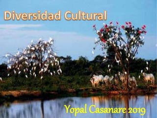 Yopal Casanare 2019
 