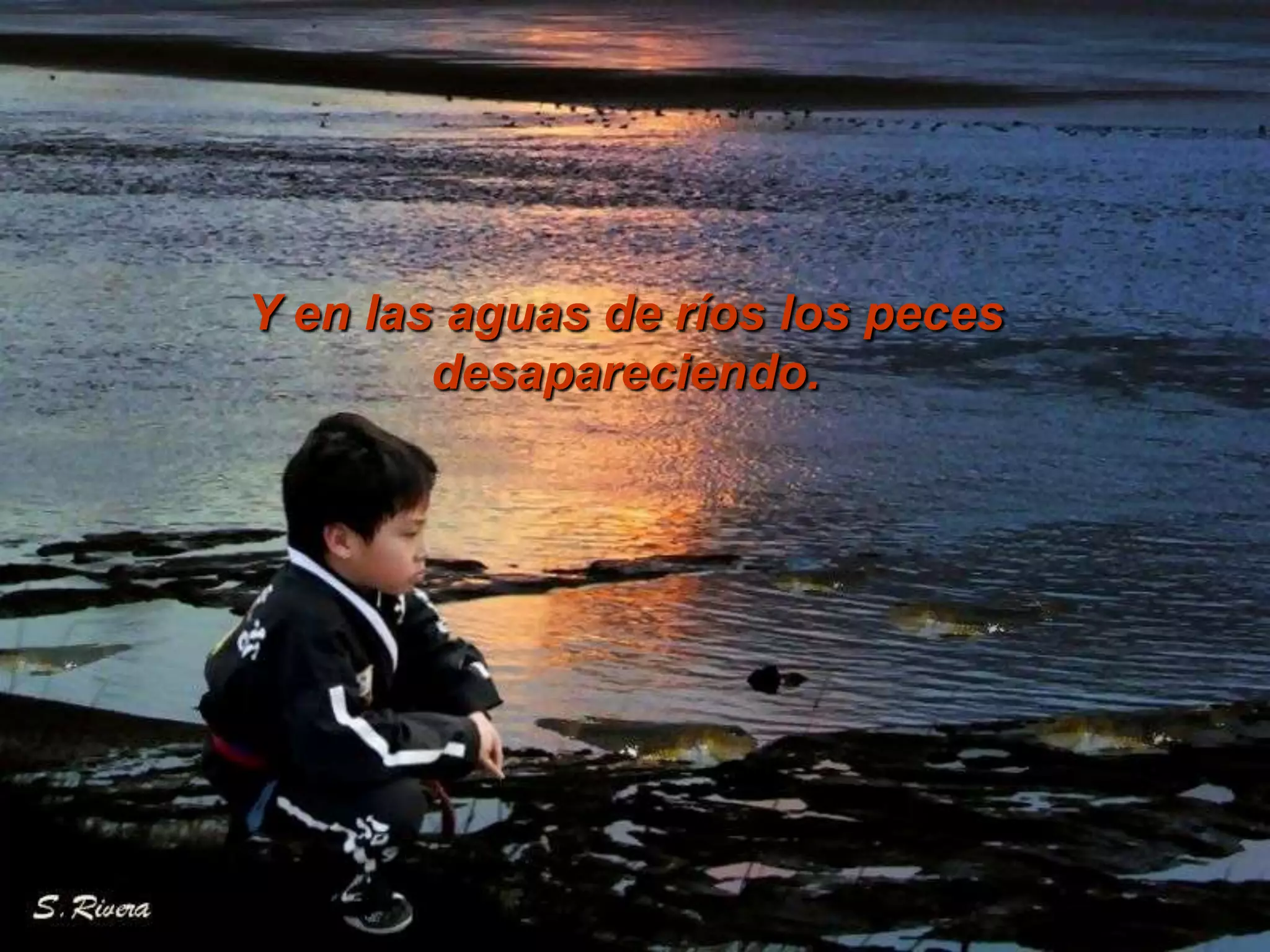 Y en las aguas de ríos los peces desapareciendo.