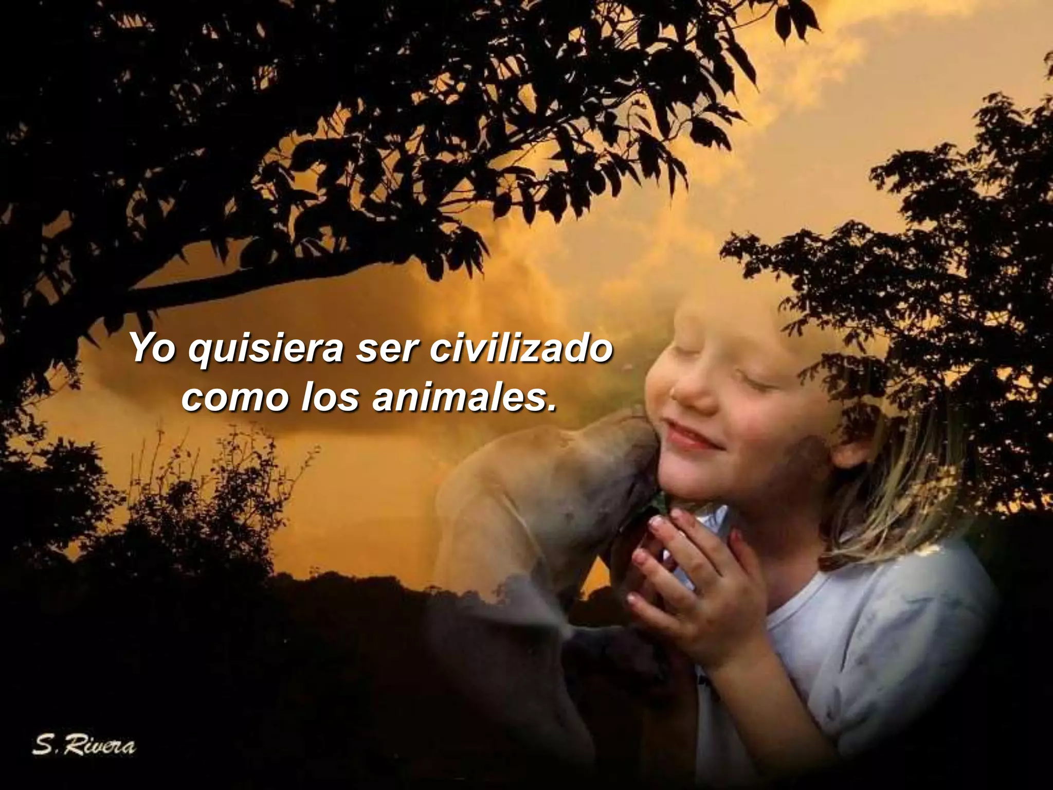 Yo quisiera ser civilizado como los animales.