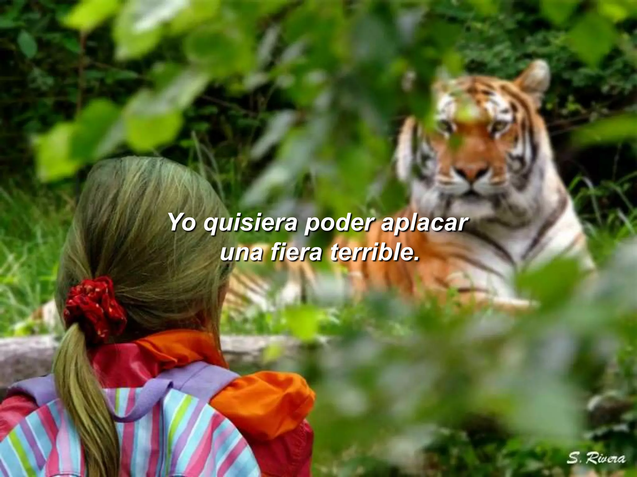 Yo quisiera poder aplacar una fiera terrible.