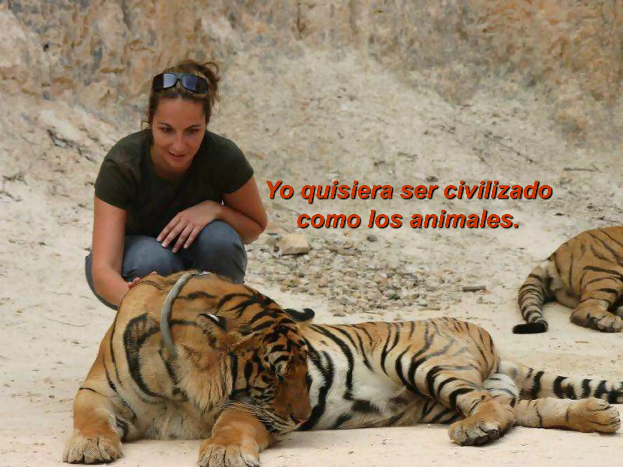 Yo quisiera ser civilizado como los animales.