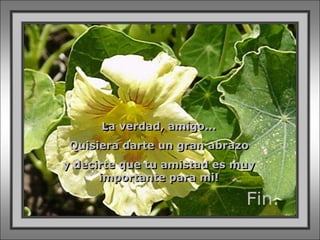 La verdad, amigo...
 Quisiera darte un gran abrazo
y decirte que tu amistad es muy
      importante para mi!

                             Fin.
 