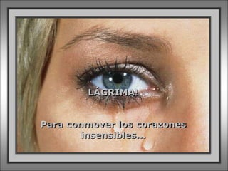 LÁGRIMA!


Para conmover los corazones
        insensibles...
 