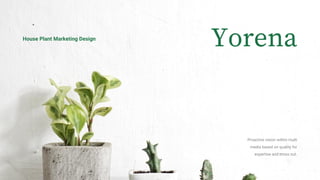 House Plant Marketing Design
Proactive vision within multi
media based on quality for
expertise and cross out.
 