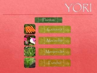 Plantas
Cenoura
Maravilha
Manjericão
Funcho
 