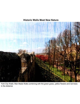 York City Walls- Man Made Walls combining with the green grass, yellow flowers and red trees
in the distance
Historic Walls Meet New Nature
