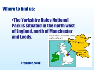 Where to find us: The Yorkshire Dales National Park is situated in the north west of England, north of Manchester and Leeds. From bbc.co.uk 