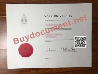 York University degree