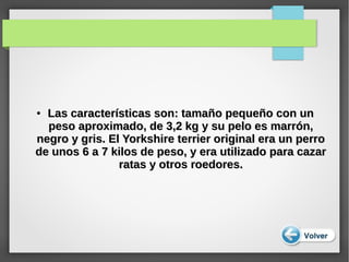 ●
Las características son: tamaño pequeño con unLas características son: tamaño pequeño con un
peso aproximado, de 3,2 kg y su pelo es marrón,peso aproximado, de 3,2 kg y su pelo es marrón,
negro y gris. El Yorkshire terrier original era un perronegro y gris. El Yorkshire terrier original era un perro
de unos 6 a 7 kilos de peso, y era utilizado para cazarde unos 6 a 7 kilos de peso, y era utilizado para cazar
ratas y otros roedores.ratas y otros roedores.
 