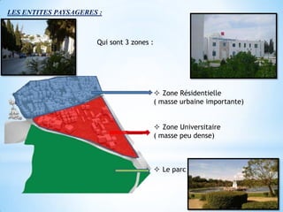 LES ENTITES PAYSAGERES :



                      Qui sont 3 zones :




                                            Zone Résidentielle
                                           ( masse urbaine importante)


                                            Zone Universitaire
                                           ( masse peu dense)



                                            Le parc
 