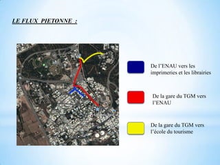 LE FLUX PIETONNE :




                     De l’ENAU vers les
                     imprimeries et les librairies



                     De la gare du TGM vers
                     l’ENAU



                     De la gare du TGM vers
                     l’école du tourisme
 