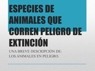 ESPECIES DE
ANIMALES QUE
CORREN PELIGRO DE
EXTINCIÓN
UNA BREVE DESCRIPCIÓN DE:
LOS ANIMALES EN PELIGRO.
 