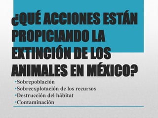 ¿QUÉ ACCIONES ESTÁN
PROPICIANDO LA
EXTINCIÓN DE LOS
ANIMALES EN MÉXICO?
•Sobrepoblación
•Sobreexplotación de los recursos
•Destrucción del hábitat
•Contaminación
 