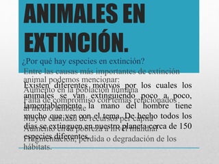ANIMALES EN
EXTINCIÓN.¿Por qué hay especies en extinción?
Existen diferentes motivos por los cuales los
animales se van extinguiendo poco a poco,
lamentablemente la mano del hombre tiene
mucho que ver con el tema. De hecho todos los
días se extinguen en nuestro planeta cerca de 150
especies diferentes.
Entre las causas más importantes de extinción
animal podemos mencionar:
Aumento en la población humana
Falta de compromiso con temas relacionados
al medio ambiente
Mayor cantidad de recursos per capita
Aumento en la pobreza a nivel mundial
Fragmentación, pérdida o degradación de los
hábitats.
 