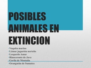 POSIBLES
ANIMALES EN
EXTINCION•Vaquita marina
•Lémur juguetón norteño
•Leopardo Amur
•Rinoceronte de Java
•Gorila de Montaña
•Orangután de Sumatra
 
