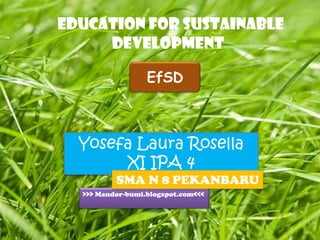 Education for SuStainable 	       Development EfSD Yosefa Laura Rosella XI IPA 4 SMA N 8 PEKANBARU >>> Mandor-bumi.blogspot.com<<< 