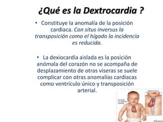 ¿Qué es la Dextrocardia ?
• Constituye la anomalía de la posición
      cardiaca. Con situs inversus la
transposición como el hígado la incidencia
               es reducida.

• La dexiocardia aislada es la posición
anómala del corazón no se acompaña de
desplazamiento de otras viseras se suele
complicar con otras anomalías cardiacas
 como ventrículo único y transposición
                arterial.
 