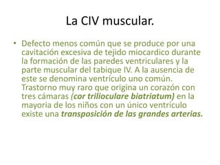La CIV muscular.
• Defecto menos común que se produce por una
  cavitación excesiva de tejido miocardico durante
  la formación de las paredes ventriculares y la
  parte muscular del tabique IV. A la ausencia de
  este se denomina ventrículo uno común.
  Trastorno muy raro que origina un corazón con
  tres cámaras (cor trilioculare biatriatum) en la
  mayoria de los niños con un único ventrículo
  existe una transposición de las grandes arterias.
 