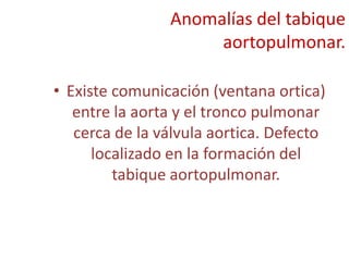 Anomalías del tabique
                     aortopulmonar.

• Existe comunicación (ventana ortica)
   entre la aorta y el tronco pulmonar
   cerca de la válvula aortica. Defecto
      localizado en la formación del
         tabique aortopulmonar.
 