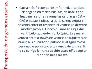 ransposición de grandes arterias.   • Causa más frecuente de enfermedad cardiaca
                                        cianogena en recién nacidos, se asocia con
                                       frecuencia a otras anomalías cardiacas (CIA y
                                       CIV) en casos típicos, la aorta se encuentra en
                                     posición anterior respecto al ventrículo derecho
                                        morfológico y el tronco pulmonar surge del
                                        ventrículo izquierdo morfológico. La sangre
                                     venosa entra a través de ventrículo izquierdo de
                                      nuevo a la circulación pulmonar el agujero oval
                                      permeable permite cierta mescla de sangre. Si,
                                     no se corrige la transposición estos niños suelen
                                                   morir en unos meses.
 
