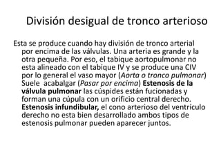 División desigual de tronco arterioso
Esta se produce cuando hay división de tronco arterial
  por encima de las válvulas. Una arteria es grande y la
  otra pequeña. Por eso, el tabique aortopulmonar no
  esta alineado con el tabique IV y se produce una CIV
  por lo general el vaso mayor (Aorta o tronco pulmonar)
  Suele acabalgar (Pasar por encima) Estenosis de la
  válvula pulmonar las cúspides están fucionadas y
  forman una cúpula con un orificio central derecho.
  Estenosis infundibular, el cono arterioso del ventrículo
  derecho no esta bien desarrollado ambos tipos de
  estenosis pulmonar pueden aparecer juntos.
 