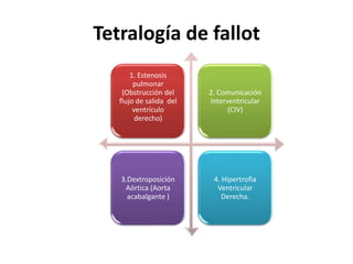 Tetralogía de fallot
       1. Estenosis
        pulmonar
    (Obstrucción del     2. Comunicación
   flujo de salida del   interventricular
        ventrículo             (CIV)
         derecho)




   3.Dextroposición       4. Hipertrofia
    Aórtica (Aorta         Ventricular
     acabalgante )           Derecha.
 