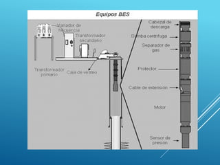 Yoselin rodriguez - BES
