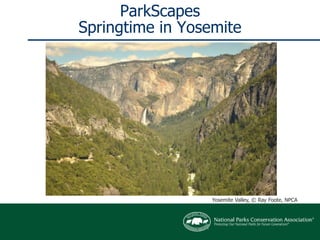 ParkScapesSpringtime in Yosemite Yosemite Valley, © Ray Foote, NPCA 