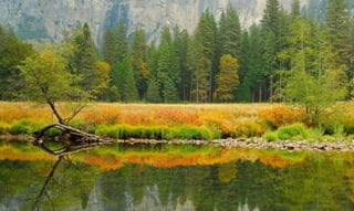 Yosemite in Autumn  