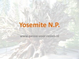 Yosemite N.P.
www.passie-voor-reizen.nl
 