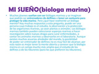 MI SUEÑO(biologa marina)
• Muchos jóvenes sueñan con ser biólogos marinos y se imaginan
que podrán ser entrenadores de delfines o tener un santuario para
proteger la vida marina. Pero ¿qué hace realmente un biólogo
marino? Hay muchas respuestas a esta pregunta, puede ser una
persona cuyo trabajo es el estudio, la observación y la protección
de los organismos marinos, ya sean plantas o animales. Los biólogos
marinos también pueden coleccionar esponjas marinas o hacer
investigación sobre nuevas drogas para curar enfermedades, o
contar los animales marinos y observarlos en el laboratorio. Aunque
existen muchos acuarios alrededor del mundo, la posibilidad
de poder ser entrenador de delfines no es muy fácil de alcanzar, por
esta razón es mejor tener la mente abierta y conocer que la biología
marina es un campo mucho más amplio que el estudio de los
delfines o de los tiburones (para los que prefieren los tiburones).
 