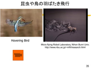 昆虫や鳥の羽ばたき飛行
35
Micro flying Robot Laboratory, Nihon Bunri Univ.
http://www.nbu.ac.jp/~mfrl/research.html
Hovering Bird
 