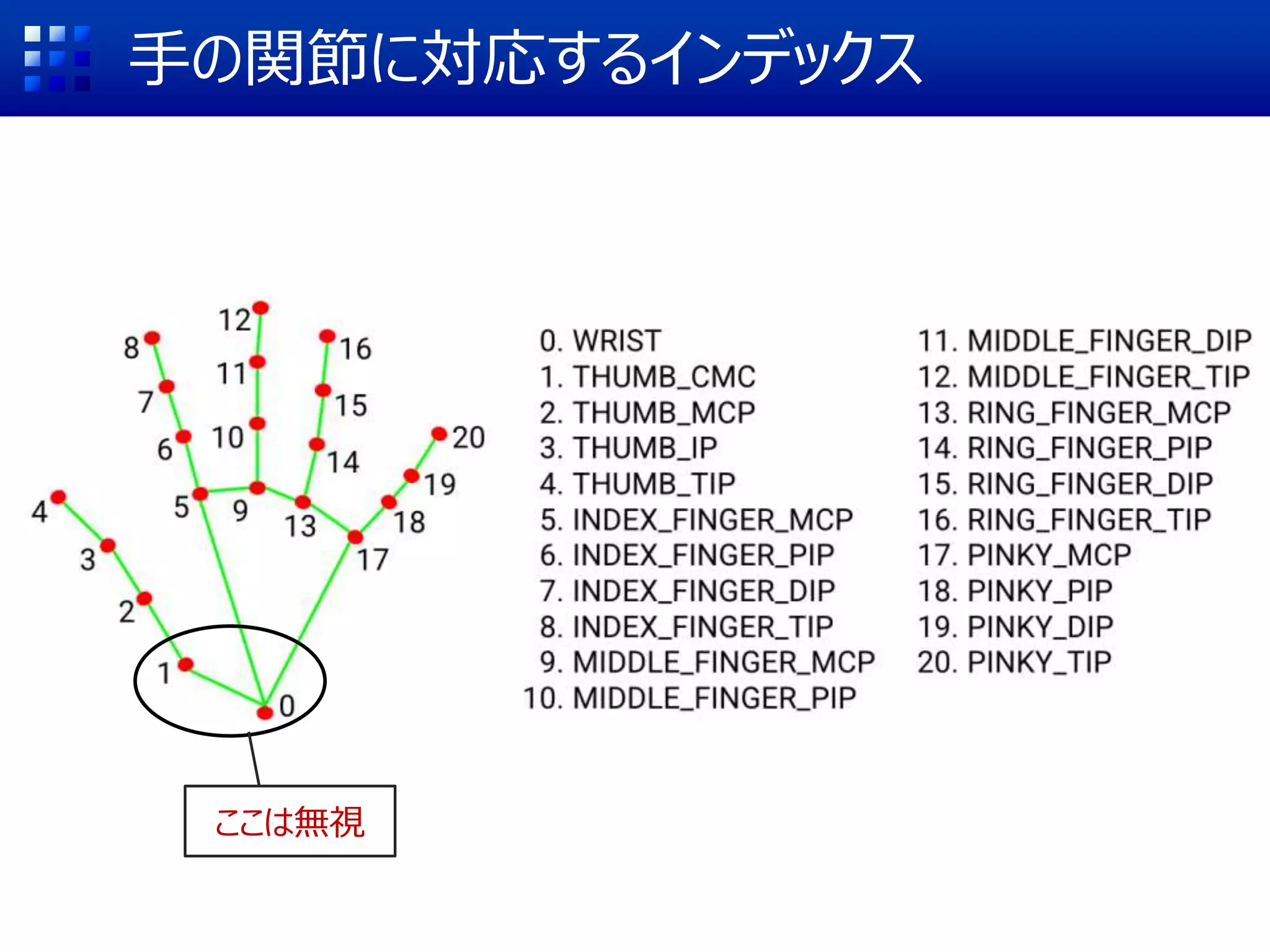 手の関節に対応するインデックス
ここは無視
 